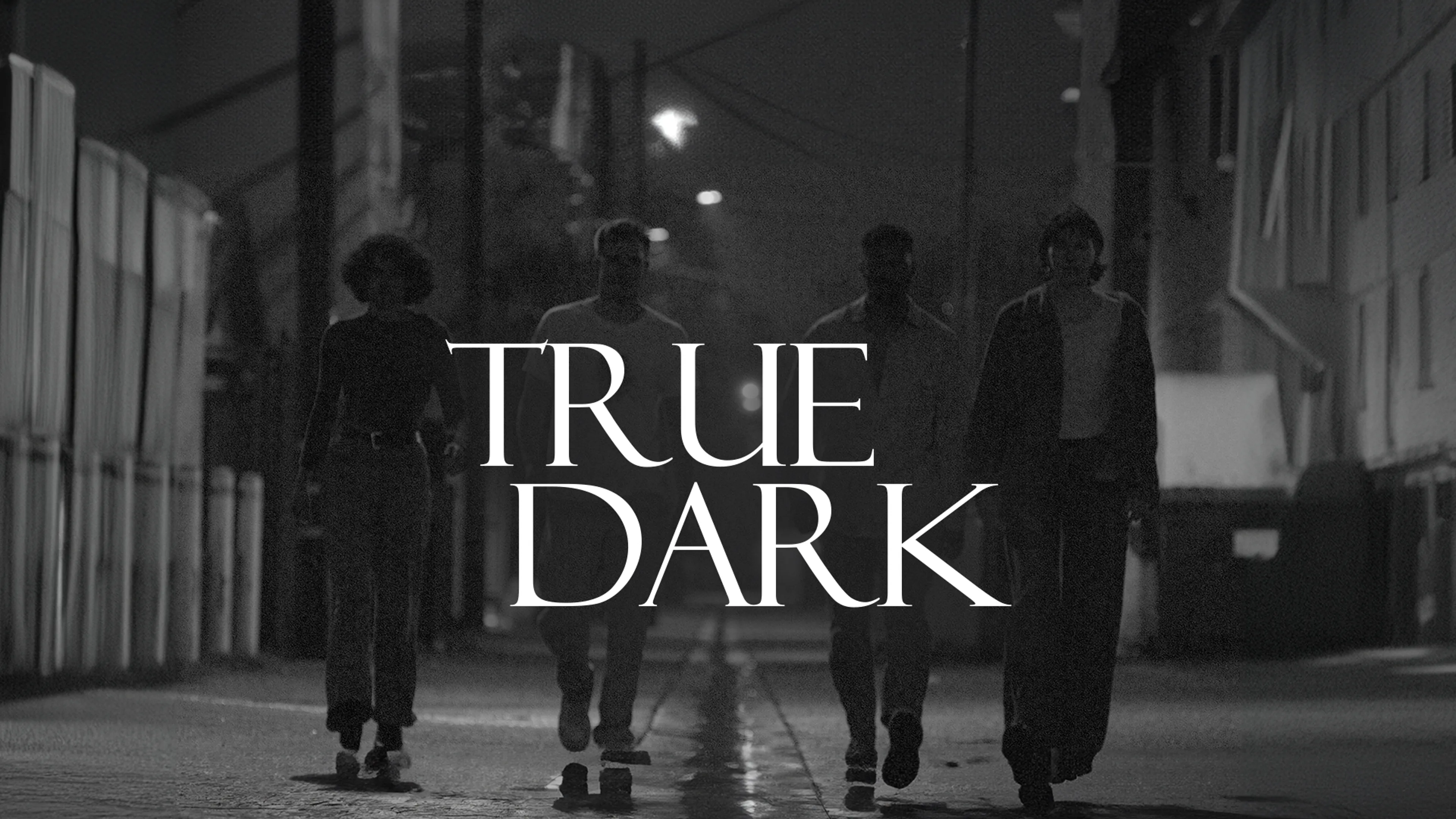 True Dark poster